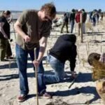 Maine students and residents planted 12,000 dune-grass stalks after two 2024 storms washed away dunes; in 2026, volunteers returned with 20,000 more to rebuild the beach