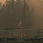 Washington wildfires scorch over 2,50,000 acres; trigger mass evacuations