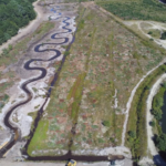 Massachusetts restores cranberry bog to protect rare trout that moves between river and ocean