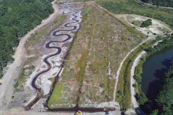 Massachusetts restores cranberry bog to protect rare trout that moves between river and ocean
