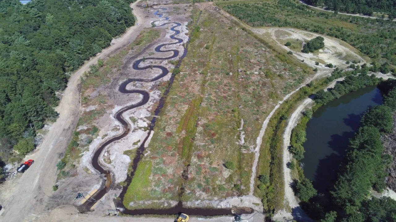 Massachusetts restores cranberry bog to protect rare trout that moves between river and ocean