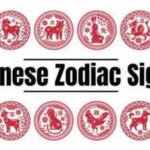 Horoscope Today, 25th September, 2026: A Long Wait Could Finally Bring Results for These Chinese Zodiac Animals; Patience Unlocks Wealth & Success