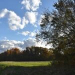 In 1988, Ohio attorney Neil McKown secretly bought 155 neglected acres; 38 years later, the family farms nearly 500 acres and he declined a $400,000-$500,000 timber cut to keep the woods