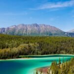 In 1993, a project set out to reconnect wildlife habitat from Yellowstone to Canada's Yukon; its partnerships have now helped create 204 crossings and protect 24 million hectares