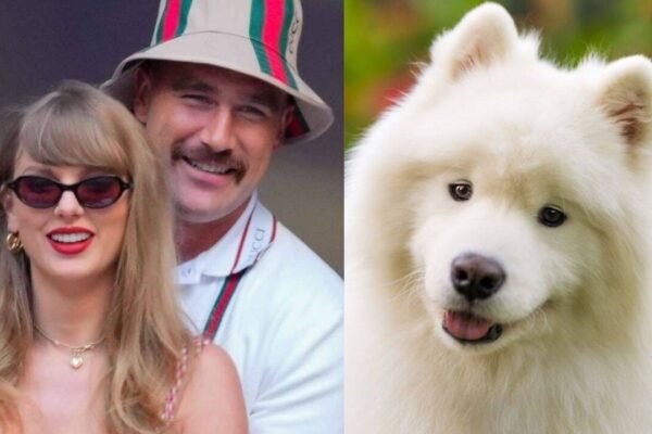 Taylor Swift and Travis Kelce own a Samoyed dog, the breed known for its famous “smile”: Here’s the fascinating evolutionary story behind one of the world’s most recognisable dog faces