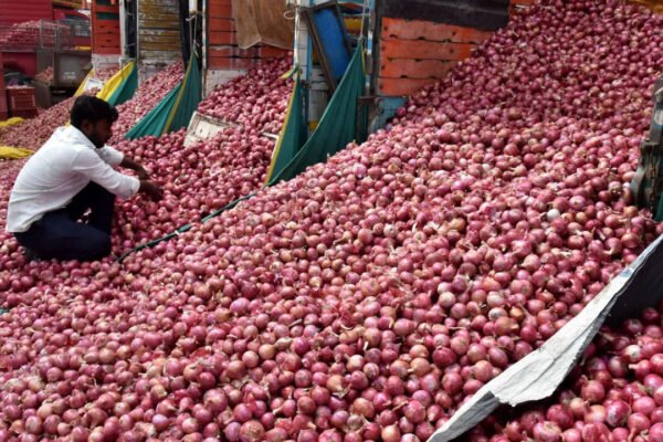 Onion price hike: Centre expands Rs 35/kg sale to 19 cities amid supply concerns