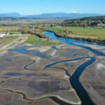 In 2009, Washington removed a century-old dike and let tides reclaim 762 acres; 21 miles of channels reopened, and young Chinook salmon entered the restored marsh in their first migration season