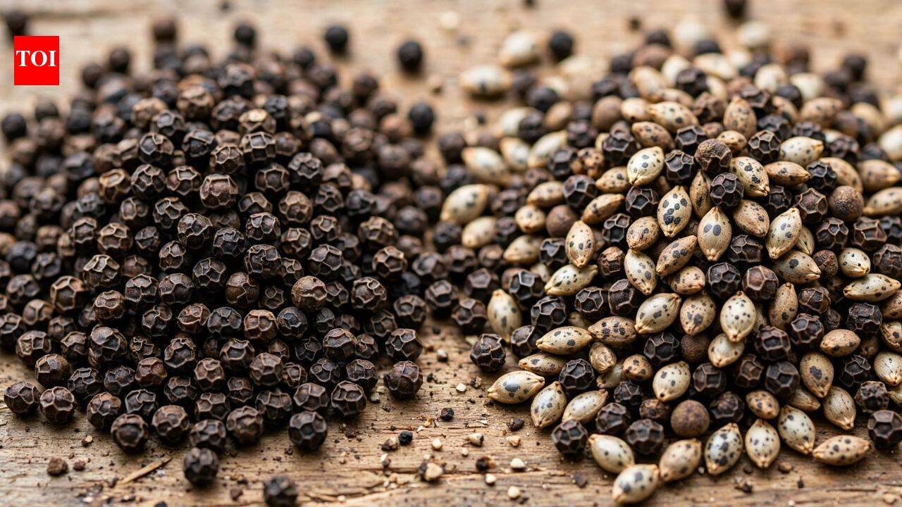 How to check if black pepper is real: 6 ways to spot adulterated pepper at home |
