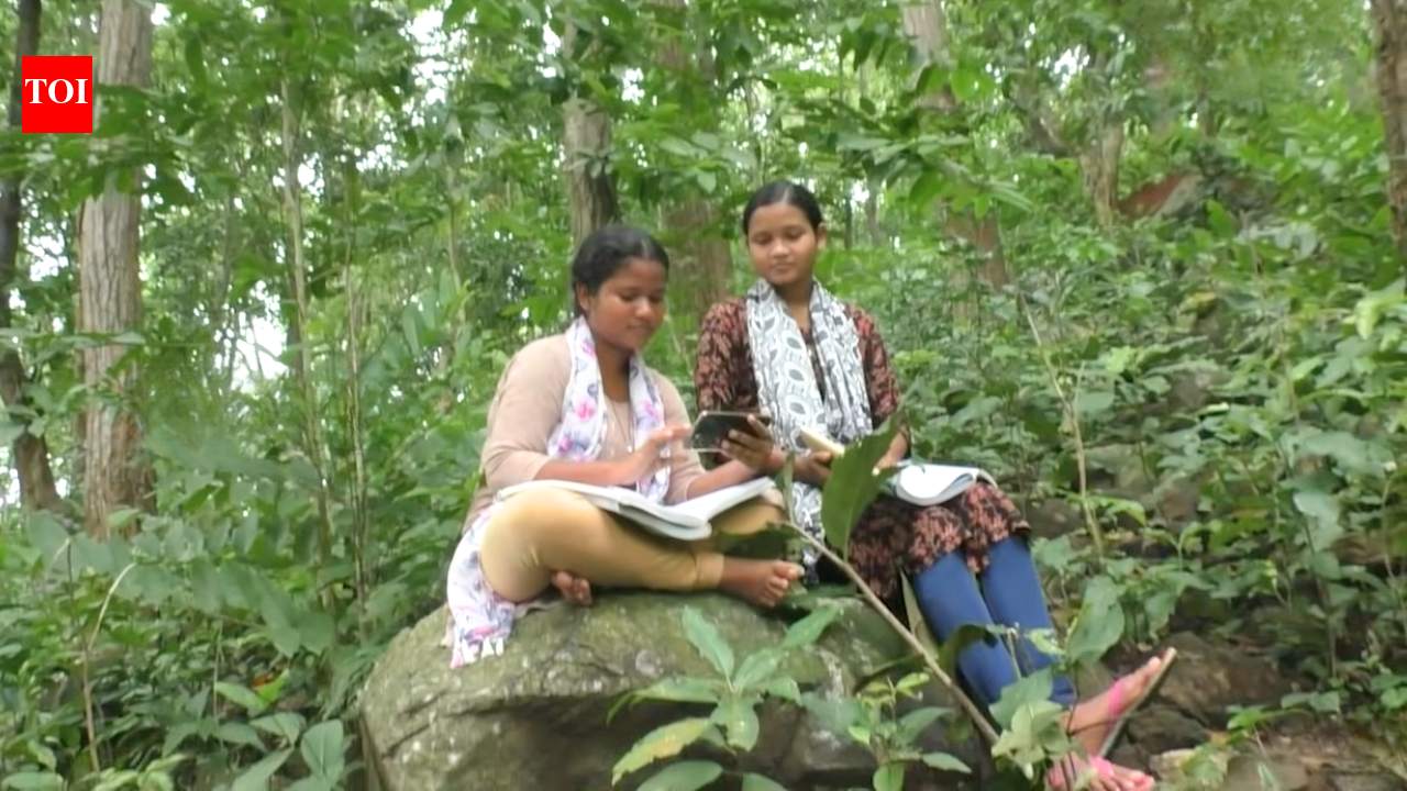 ‘There was no proper mobile network near our home’: These two Odisha sisters climbed hilltops to study, cleared NEET 2026 together without coaching