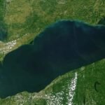 After a 25-acre Lake Erie wetland was reconnected, sonar recorded 3.44 million fish detections over 2,022 monitoring hours across four years, showing the restored habitat was used continuously
