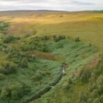 A company bought 7,500 acres of England for £8.5 million to create ‘Britain’s Yellowstone’; after investors are repaid, it plans to give the land to a community or charity