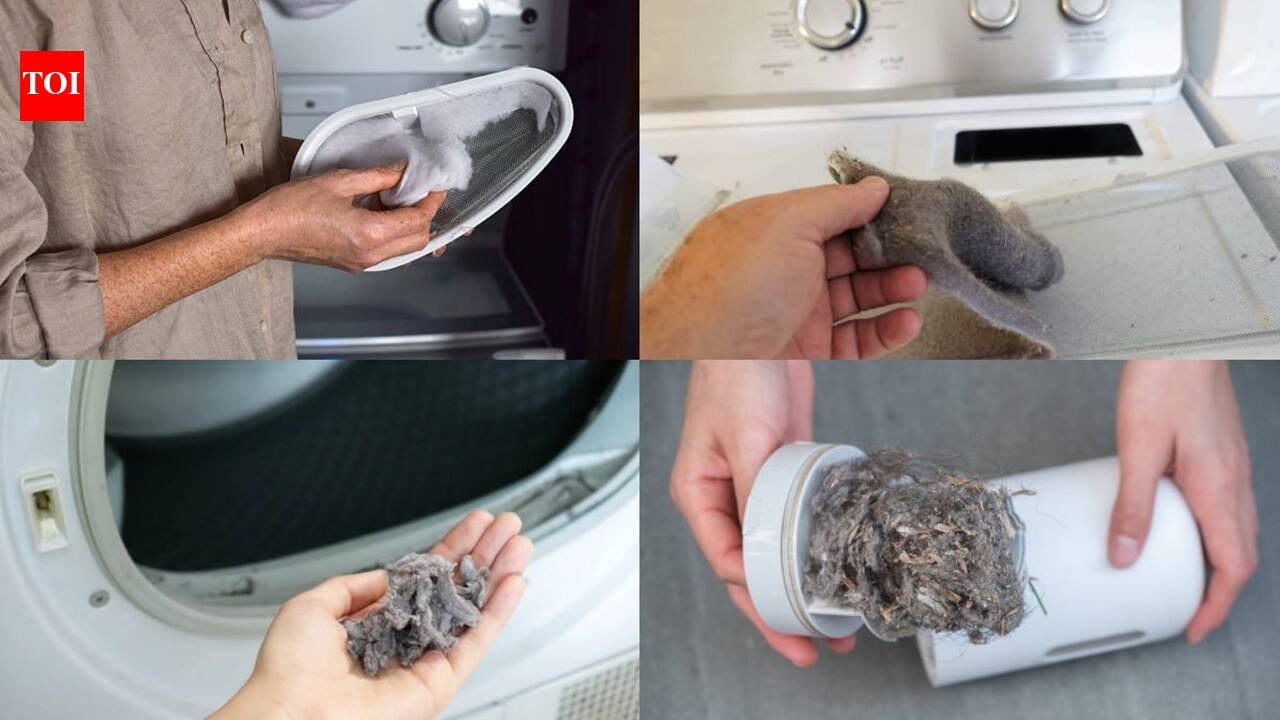 Dryer Lint Reuse: DIY: Stop throwing away dryer lint; 7 surprising ways to put it to good use at home