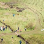 In 2021, a North Yorkshire estate began restoring 2,500 acres of intensively farmed land; four years later, 330,000 trees and 1,700+ species mark its comeback