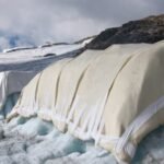 Scientists covered 200 square metres of a Swiss glacier with sheep’s wool; early tests found it protected the ice about as well as plastic sheets, but only 0.02% of Swiss glacier ice is covered