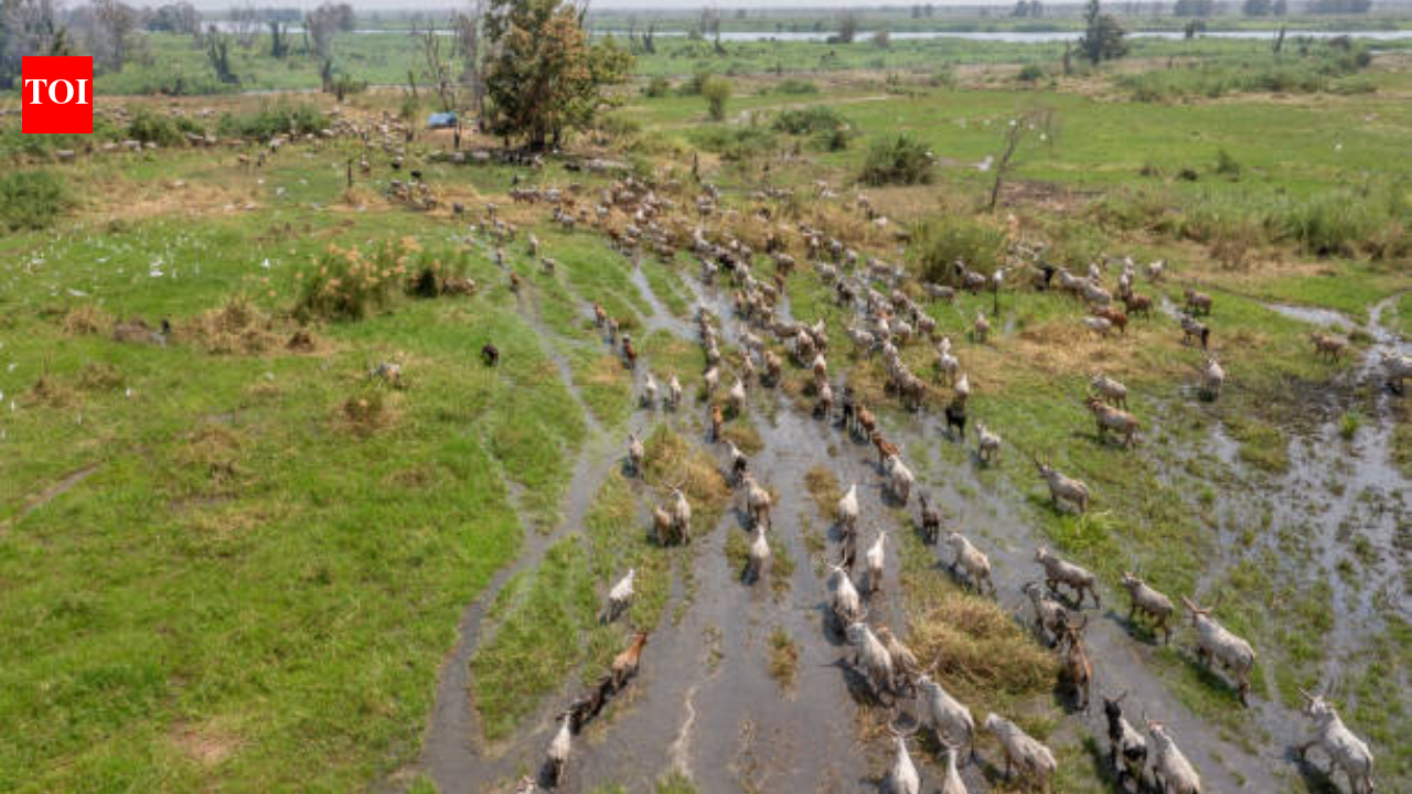 South Sudan’s first UNESCO World Heritage site covers nearly 30 million acres and protects a migration of roughly six million antelopes