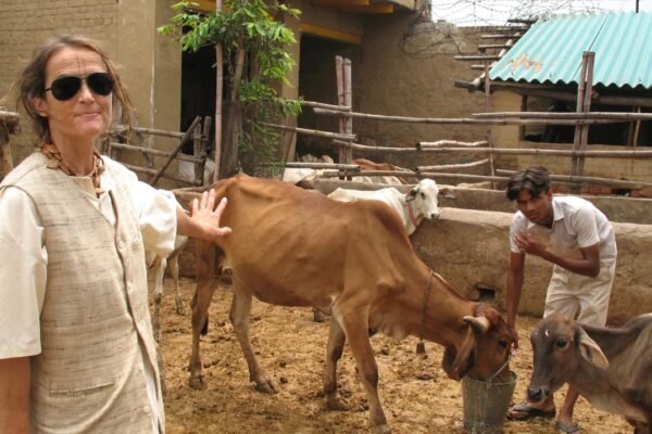 From Berlin to Radha Kund: How a German traveller who arrived in India in 1978 became a Padma Shri awardee and the ‘mother’ of 2,500 abandoned cows