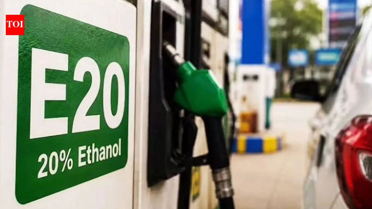 Govt eyes ethanol blending beyond E20 with flex-fuel vehicles, says PM advisor