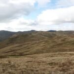 In 2012, an English upland restoration project began fencing sheep out of Tebay Common; 60,000 trees later, lost woodland is returning and 11 new breeding bird species have been recorded since 2016