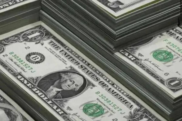 India's forex reserves surge record $44.9 billion to all-time high of $785.7 billion