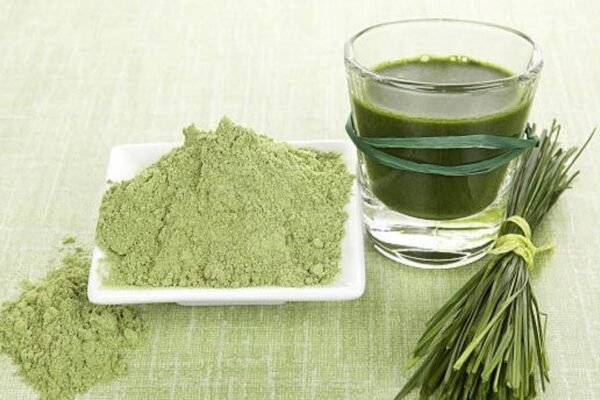 Wheatgrass Powder Benefits: Wheatgrass powder: Potential benefits, how to use it and what you should know before adding it to your diet