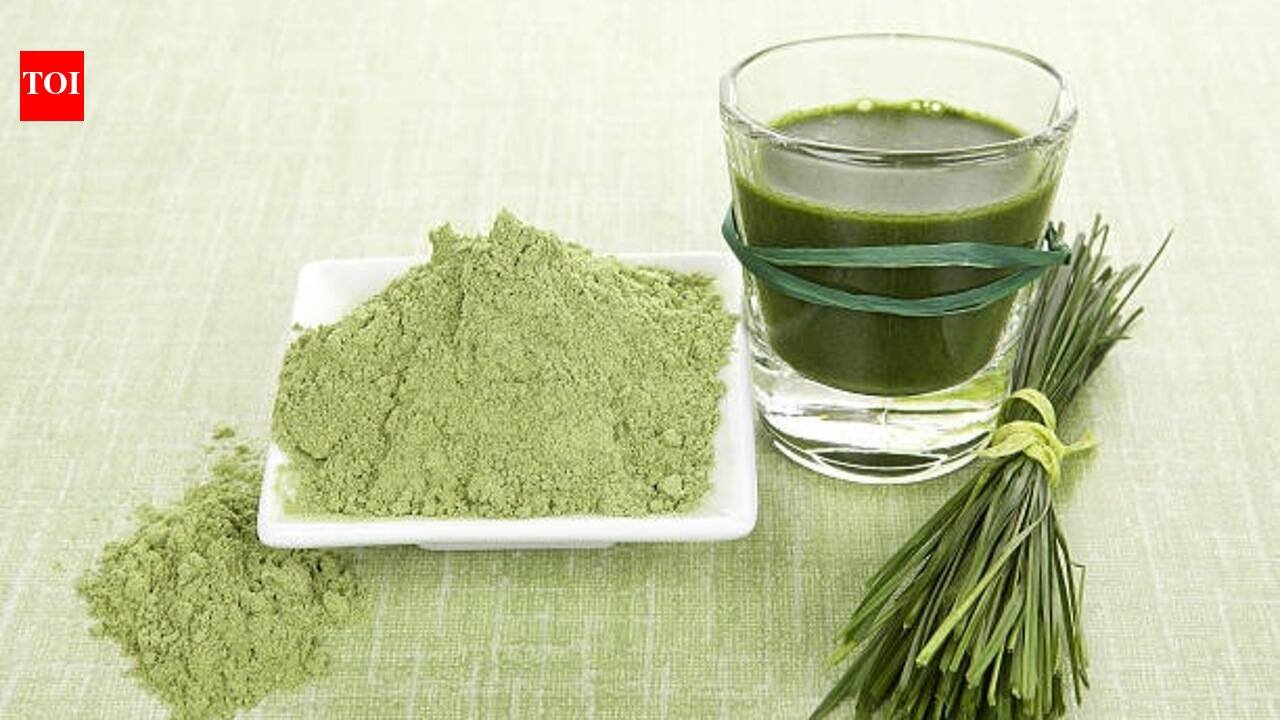 Wheatgrass Powder Benefits: Wheatgrass powder: Potential benefits, how to use it and what you should know before adding it to your diet