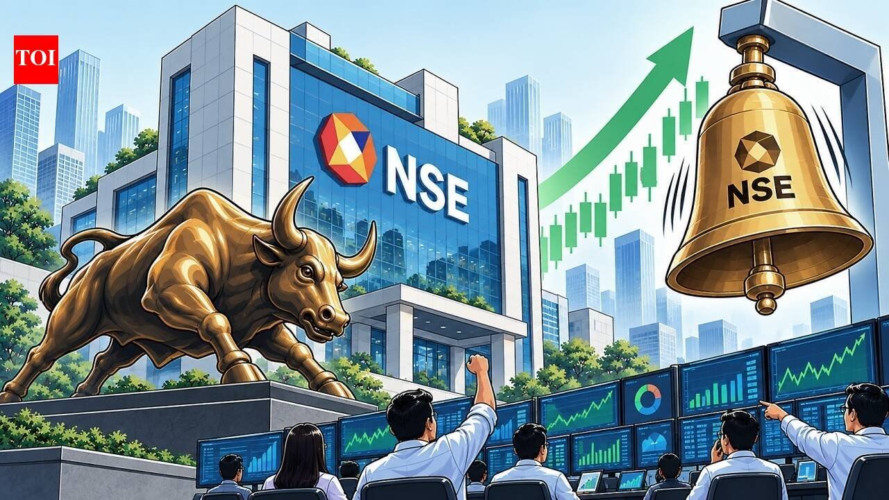 NSE IPO opens for subscription: From GMP, market cap to status & global comparison - top 10 things to know