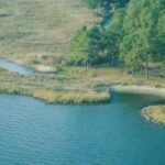 In 2002, concrete rubble from Baltimore’s demolished Memorial Stadium was reused in a Maryland living shoreline; the project restored 400 feet of coast and created two acres of tidal wetlands