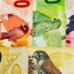 From sea turtle to rare birds: Foreign currencies so beautiful they belong in your travel album