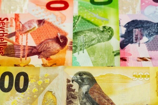 From sea turtle to rare birds: Foreign currencies so beautiful they belong in your travel album
