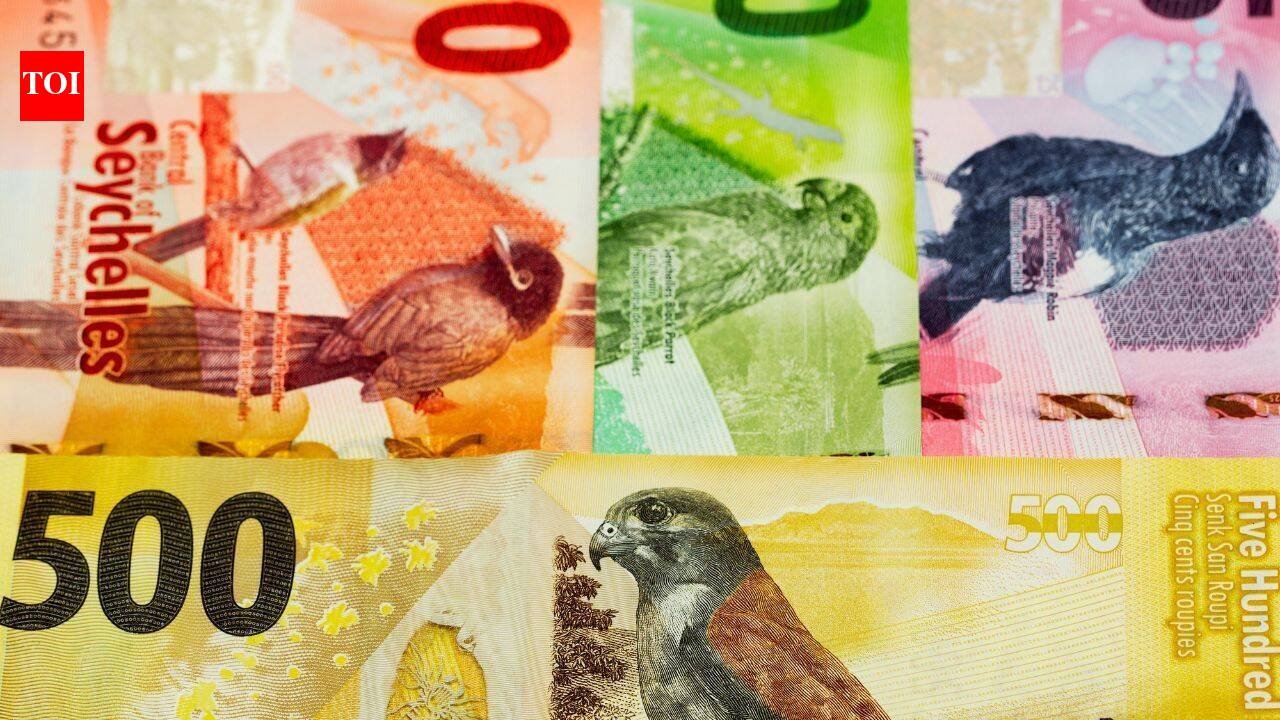 From sea turtle to rare birds: Foreign currencies so beautiful they belong in your travel album