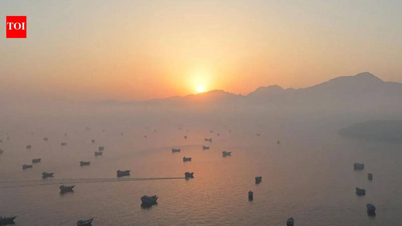 Can UAE, Oman offer India alternative energy routes amid rising West Asia crisis?