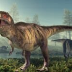 T. rex had a body temperature of 36.3°C, almost the same as humans; fossil tooth chemistry reveals the 66-million-year-old predator was warm-blooded and could survive in cold climates