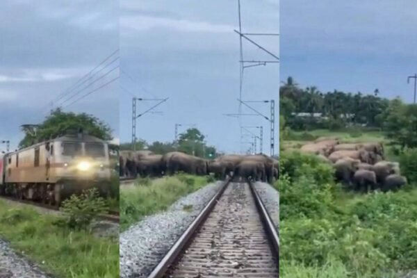 When Rajdhani Express stopped in Assam: The unusual encounter that held up India's one of the superfast trains