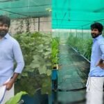 Sivakarthikeyan Greenhouse: Actor Sivakarthikeyan’s private organic greenhouse: How the actor grows seasonal vegetables and leafy greens at home