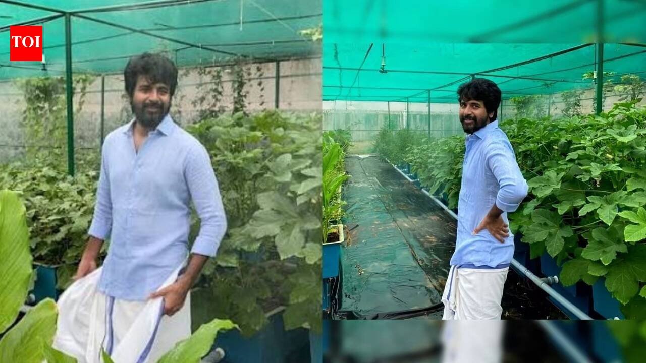 Sivakarthikeyan Greenhouse: Actor Sivakarthikeyan’s private organic greenhouse: How the actor grows seasonal vegetables and leafy greens at home