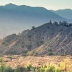 In 1843, Mexico granted 22,000 acres in California's Cuyama Valley; 183 years later, the largest surviving 5,650-acre piece was permanently protected after a $1 million conservation campaign
