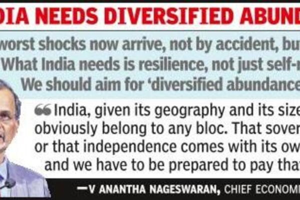 ‘Crude prices have risen 30% in a month’: CEA warns India exposed to multiple shocks