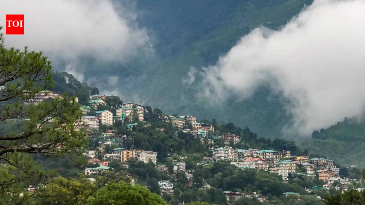 Urban travellers prefer hotels, rural dharamshalas