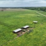 Louisiana neighbours fought over a 70-foot strip of land; after signs, bright lights and even a dead cow appeared near the boundary, an appeals court upheld $15,000 in damages and an injunction