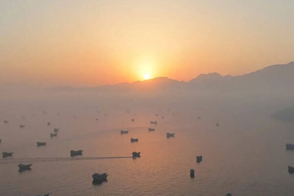 Seven months into Hormuz shutdown: Oil remains elevated as Trump rejects Iran proposal