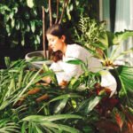 Anushka Sharma Plants: Anushka Sharma once revealed she had nearly 600 plants at home: Her simple decor tricks for making a room feel more alive
