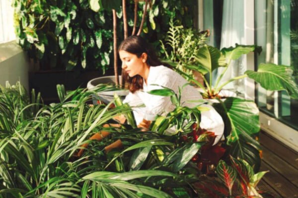 Anushka Sharma Plants: Anushka Sharma once revealed she had nearly 600 plants at home: Her simple decor tricks for making a room feel more alive