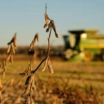 China cuts tariffs on US farm goods, but keeps soybeans on the other side