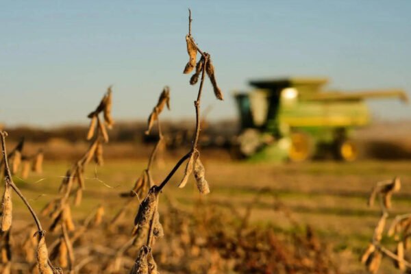 China cuts tariffs on US farm goods, but keeps soybeans on the other side