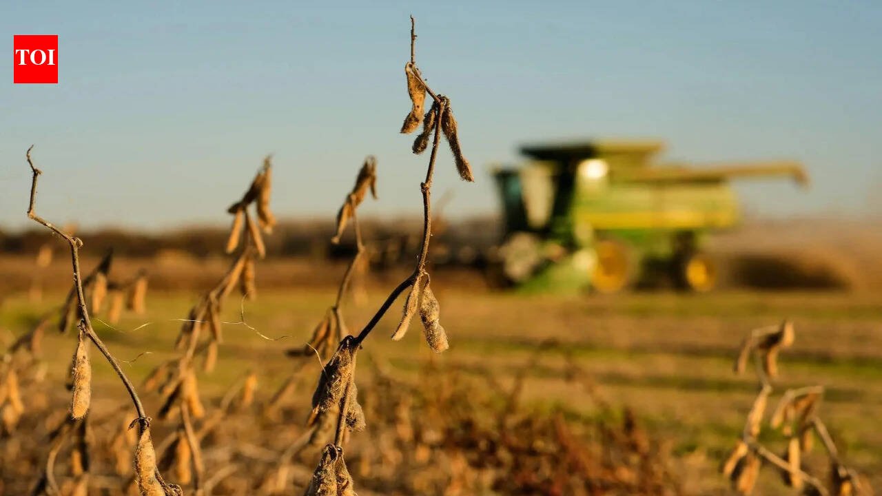 China cuts tariffs on US farm goods, but keeps soybeans on the other side