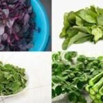 Leafy Vegetables: 5 leafy vegetables that may offer more calcium, iron and fibre: Nutritious greens to add to your daily diet