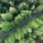 A $5.5M Portland power project could remove 400 trees from Forest Park while powering over 55,000 homes; the deal has split conservation groups
