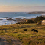 A Texas family held this coastal ranch for generations; now 2,500 acres have become part of a 17,500-acre wildlife refuge
