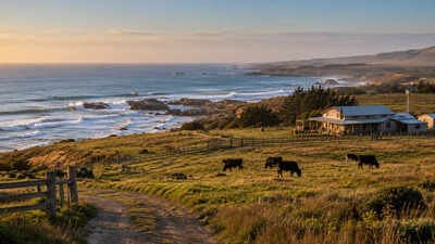 A Texas family held this coastal ranch for generations; now 2,500 acres have become part of a 17,500-acre wildlife refuge