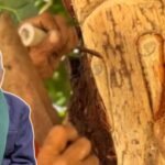 Meet Ishtiaq Ali: 85-year-old artist from Lucknow who carves Hindu gods on living trees without harming them; “When I sleep, I see Devi-Devtas…”